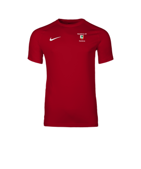 Nike Park VIII Trikot Rot F657