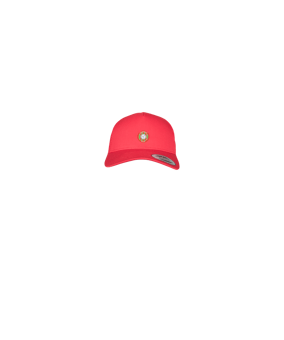 Merch 5 Panel Retro Trucker Cap Red | logo4c