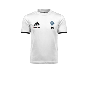 adidas Entrada 26 Trainingsshirt Kids Weiß