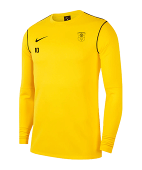 Nike Park 20 Sweatshirt Gelb Schwarz F719
