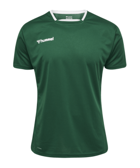 Hummel Authentic Poly Trikot kurzarm Kids F6140 - gruen