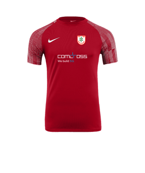 Nike Academy Trikot Rot Weiss F657