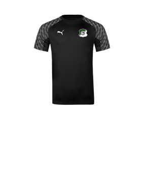 PUMA teamLIGA26 Trikot Kids Schwarz F03