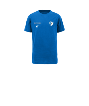 Nike Park 20 T-Shirt Kids Blau Weiss F463