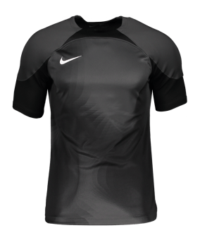 Nike Gardien IV Torwarttrikot Grau F060 - grau
