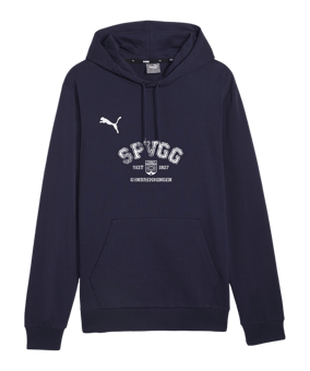 PUMA teamGOAL Casuals Hoody Blau F06