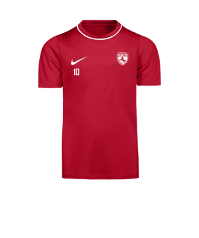 Nike Park 26 Trainingsshirt Kids Rot F657