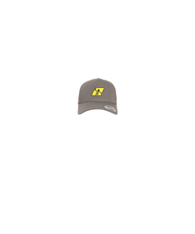 Merch 5 Panel Curved Snapback Cap Grey