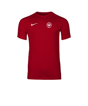 Nike Park VIII Trikot Rot F657