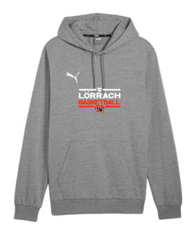 PUMA teamGOAL Casuals Hoody Grau F33