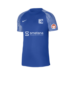 Nike Academy Trikot Blau Weiss F463