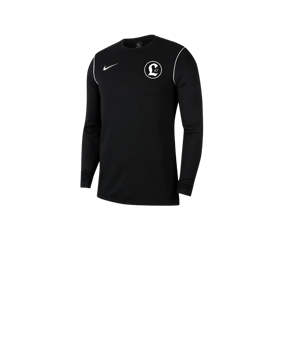 Nike Park 20 Sweatshirt Kids Schwarz Weiss F010
