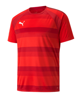 PUMA teamVISION Trikot Rot F01 - rot