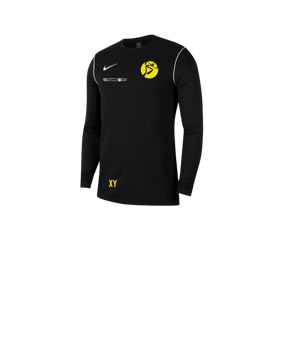 Nike Park 20 Sweatshirt Kids Schwarz Weiss F010