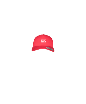 Merch 5 Panel Retro Trucker Cap Red