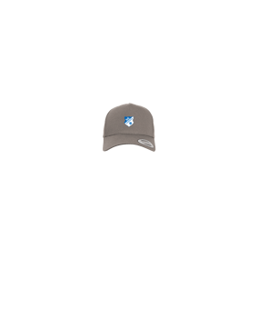 Merch 5 Panel Curved Snapback Cap Grey