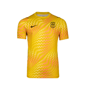 Nike Gardien VI Torwarttrikot Kurzarm Gelb F718