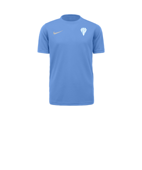 Maillot à manches courtes Nike Park VII enfant bleu