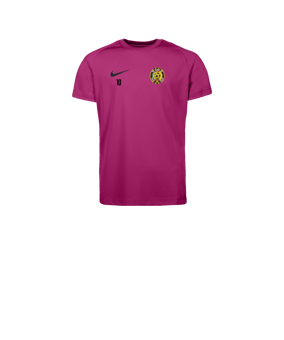 Nike Park VIII Maillot Enfants Rose C616