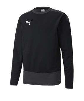 PUMA teamGOAL 23 Training Sweatshirt Schwarz F03 - schwarz