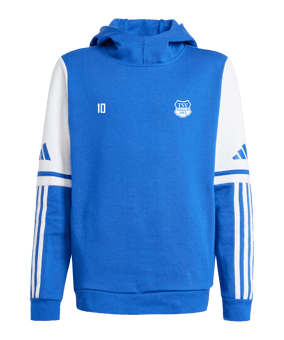 adidas Squadra 25 Hoody Kids Blau