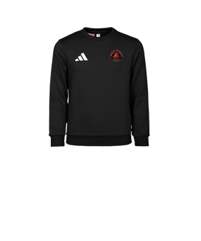 adidas Entrada 26 Sweatshirt Kids Schwarz