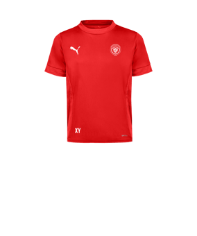 PUMA teamGOAL Matchday Trikot Kids Rot Weiss F01