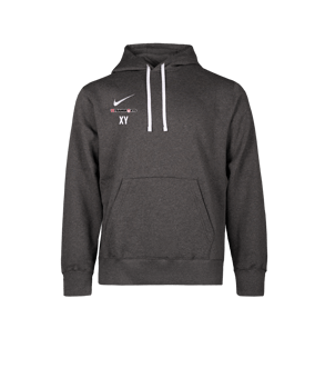 Nike Park 26 Hoody Grau F071