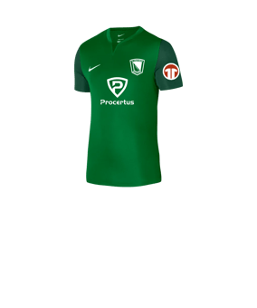 Nike Trophy V Trikot Kids Grün F302
