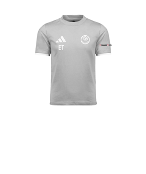 adidas Entrada 26 Trainingsshirt Kids Grau