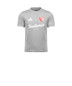 adidas Entrada 26 Trainingsshirt Kids Grau