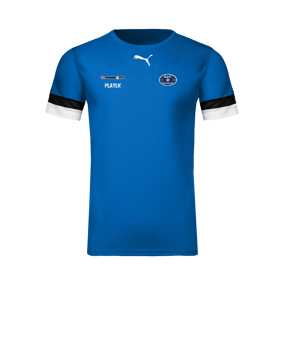 PUMA teamRISE Trikot Blau F02