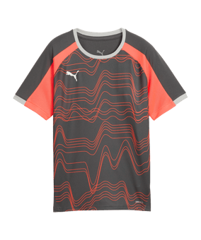 PUMA Individualliga Graphic Maglietta Kids Grigio C10 - grigio