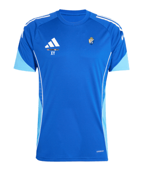 adidas Tiro 25 Competition Trikot Blau