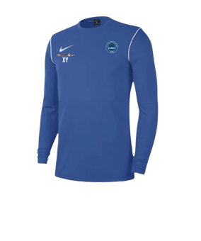 Nike Park 20 Sweatshirt Blau Weiss F463