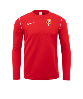 Sweat-shirt Nike Park 20 rouge blanc F657 