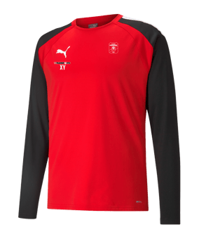 PUMA teamLIGA Trainig Sweatshirt Rot Schwarz F01