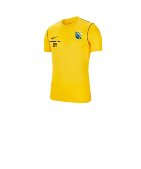 Nike Park 20 T-Shirt Kids Gelb F719