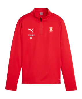 PUMA teamGOAL Training 1/4 Zip Sweatshirt Kids F01