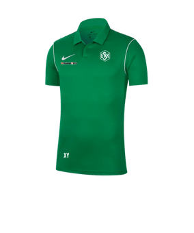Nike Park 20 Poloshirt Grün F302