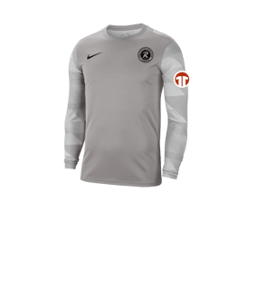 Nike Park IV TW-Trikot langarm Kids Grau F052