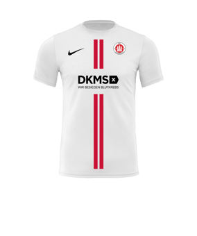 Nike Park VII Trikot kurzarm Weiss F100