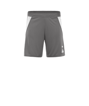 Short d'entraînement gris TIRO 24