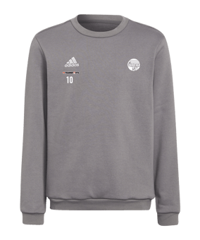 adidas Entrada 22 Sweatshirt Kids Grau