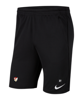 Nike Park 20 Knit Short Kids Schwarz Weiss F010