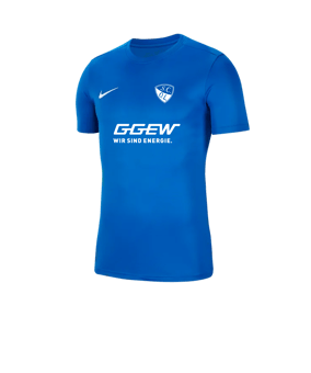 Nike Park VII Trikot kurzarm Blau F463