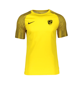 Nike Academy Trikot Gelb Schwarz F719