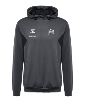 Hummel AUTHENTIC PL Hoody Grau F1525