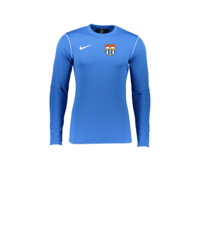 Nike Park 20 Sweatshirt Kids Blau Weiss F463