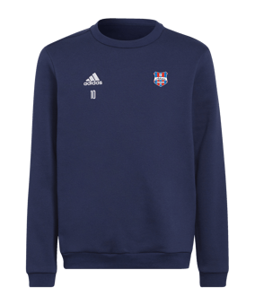 adidas Entrada 22 Sweatshirt Kids Blau